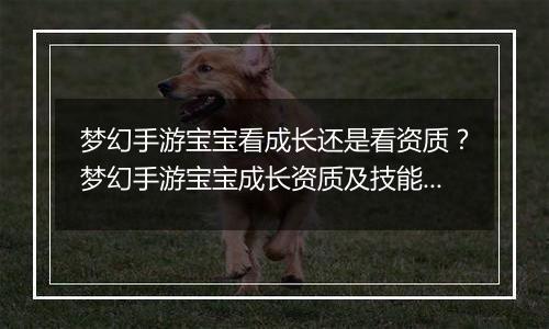 梦幻手游宝宝看成长还是看资质？梦幻手游宝宝成长资质及技能数量占比教学