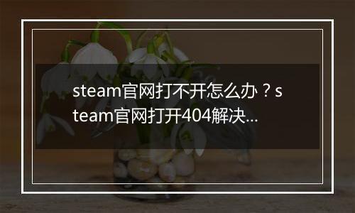steam官网打不开怎么办？steam官网打开404解决办法