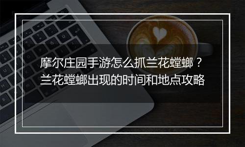 摩尔庄园手游怎么抓兰花螳螂？兰花螳螂出现的时间和地点攻略