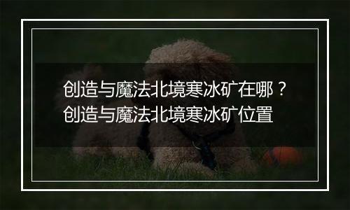 创造与魔法北境寒冰矿在哪？创造与魔法北境寒冰矿位置
