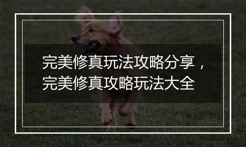 完美修真玩法攻略分享，完美修真攻略玩法大全