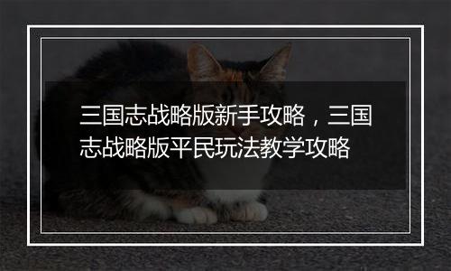 三国志战略版新手攻略，三国志战略版平民玩法教学攻略