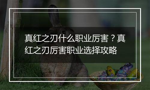 真红之刃什么职业厉害？真红之刃厉害职业选择攻略