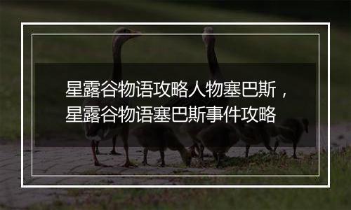 星露谷物语攻略人物塞巴斯，星露谷物语塞巴斯事件攻略