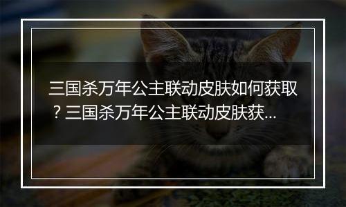 三国杀万年公主联动皮肤如何获取？三国杀万年公主联动皮肤获取方法