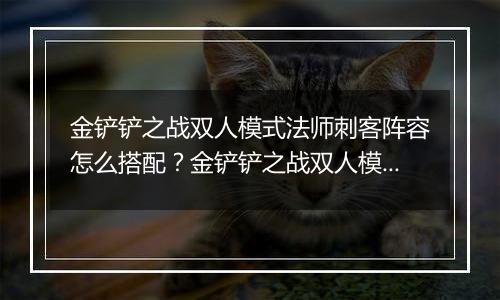 金铲铲之战双人模式法师刺客阵容怎么搭配？金铲铲之战双人模式法师刺客阵容搭配攻略