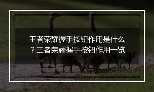 王者荣耀握手按钮作用是什么？王者荣耀握手按钮作用一览