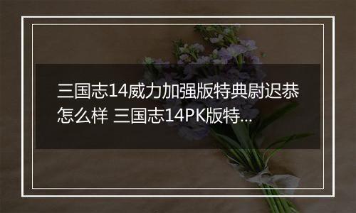 三国志14威力加强版特典尉迟恭怎么样 三国志14PK版特典人物尉迟恭背景介绍
