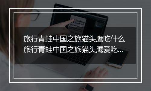 旅行青蛙中国之旅猫头鹰吃什么 旅行青蛙中国之旅猫头鹰爱吃食物一览