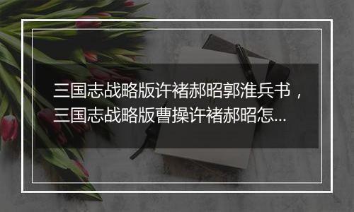 三国志战略版许褚郝昭郭淮兵书，三国志战略版曹操许褚郝昭怎么搭配战法？