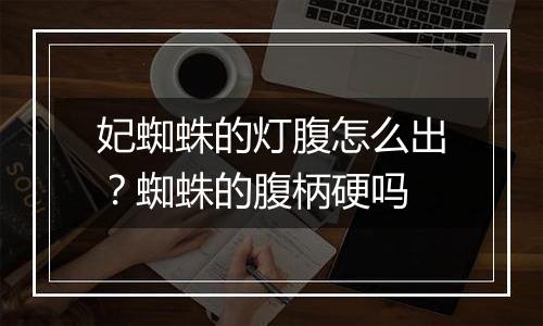 妃蜘蛛的灯腹怎么出？蜘蛛的腹柄硬吗
