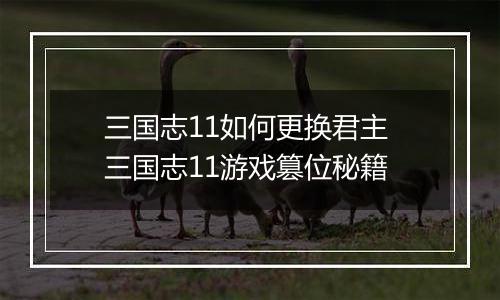 三国志11如何更换君主 三国志11游戏篡位秘籍