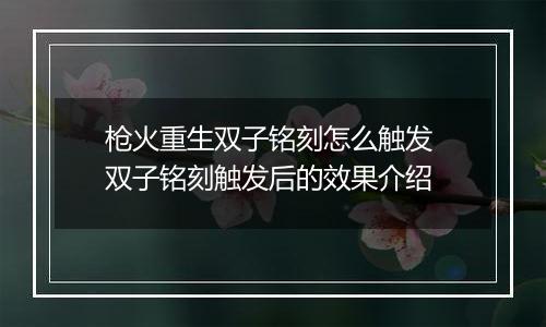 枪火重生双子铭刻怎么触发 双子铭刻触发后的效果介绍