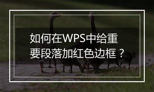 如何在WPS中给重要段落加红色边框？