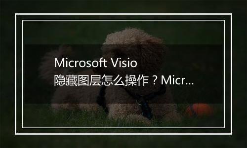 Microsoft Visio隐藏图层怎么操作？Microsoft Visio隐藏图层具体教程