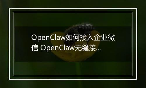 OpenClaw如何接入企业微信 OpenClaw无缝接入企业微信指南