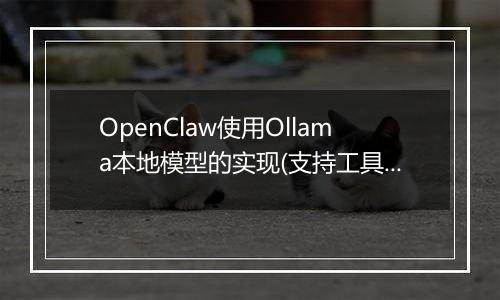 OpenClaw使用Ollama本地模型的实现(支持工具调用))