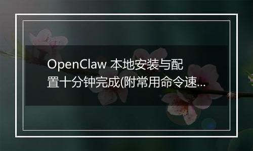 OpenClaw 本地安装与配置十分钟完成(附常用命令速查)