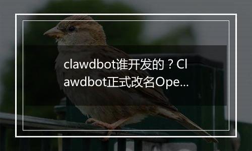 clawdbot谁开发的？Clawdbot正式改名OpenClaw
